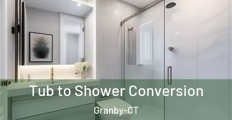 inner Bathroom imggen Tub to Shower Conversion Granby-CT