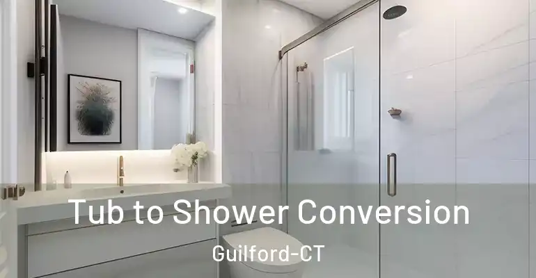 inner Bathroom imggen Tub to Shower Conversion Guilford-CT