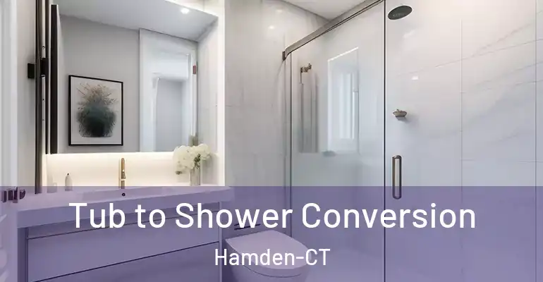 inner Bathroom imggen Tub to Shower Conversion Hamden-CT