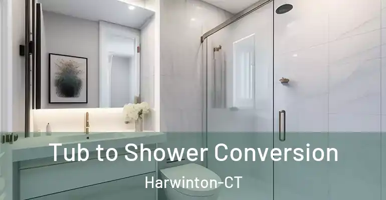 inner Bathroom imggen Tub to Shower Conversion Harwinton-CT