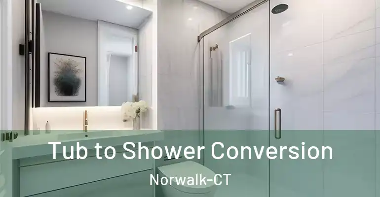 inner Bathroom imggen Tub to Shower Conversion Norwalk-CT