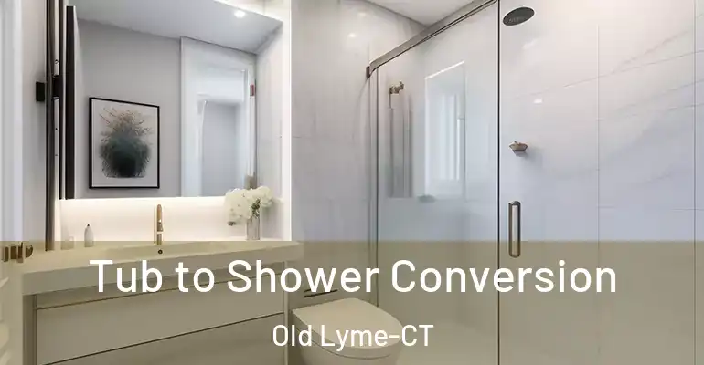 inner Bathroom imggen Tub to Shower Conversion Old Lyme-CT