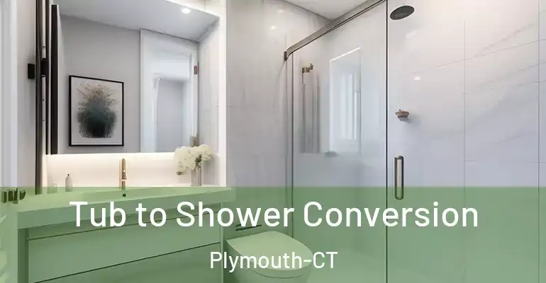 inner Bathroom imggen Tub to Shower Conversion Plymouth-CT