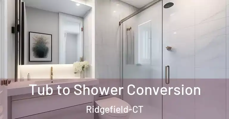 inner Bathroom imggen Tub to Shower Conversion Ridgefield-CT