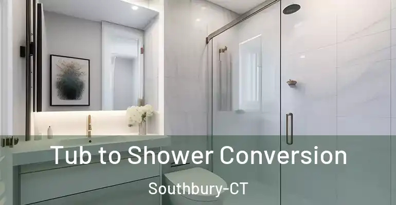inner Bathroom imggen Tub to Shower Conversion Southbury-CT