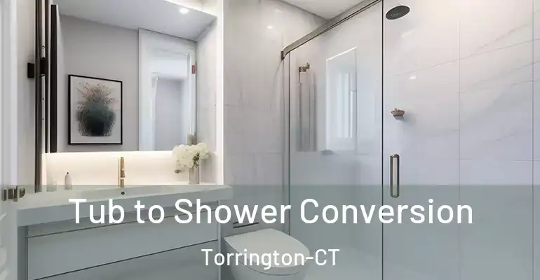 inner Bathroom imggen Tub to Shower Conversion Torrington-CT