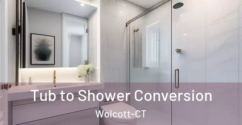 inner Bathroom imggen Tub to Shower Conversion Wolcott-CT