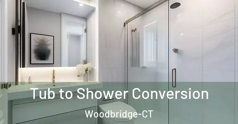 inner Bathroom imggen Tub to Shower Conversion Woodbridge-CT