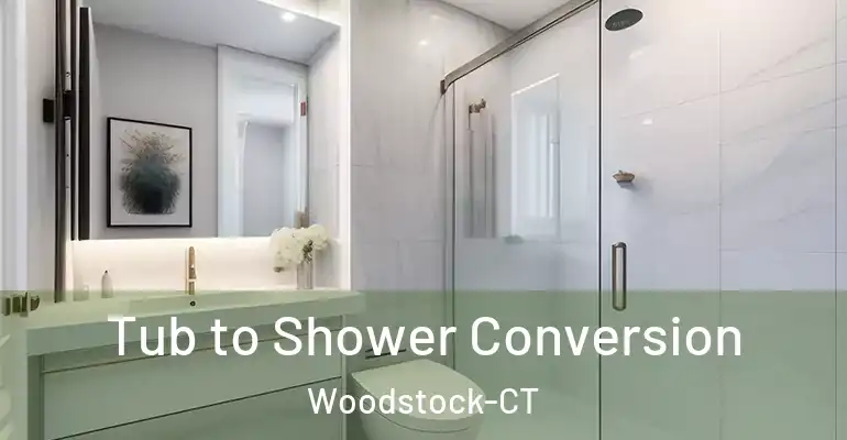 inner Bathroom imggen Tub to Shower Conversion Woodstock-CT