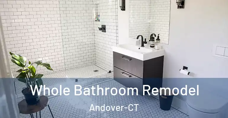 inner Bathroom imggen Whole Bathroom Remodel Andover-CT