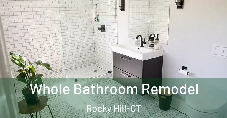 inner Bathroom imggen Whole Bathroom Remodel Rocky Hill-CT